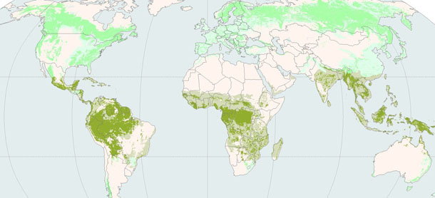wereldkaart-met-bossen