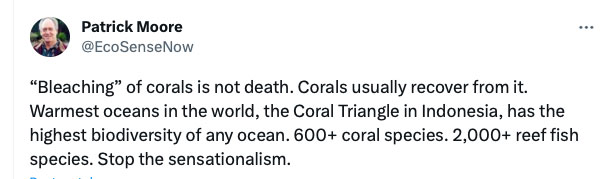 Patrick Moor over koraal-opbleking