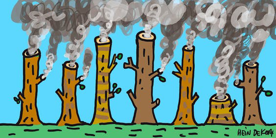 Heinde Kort in het FD: rokende bomen