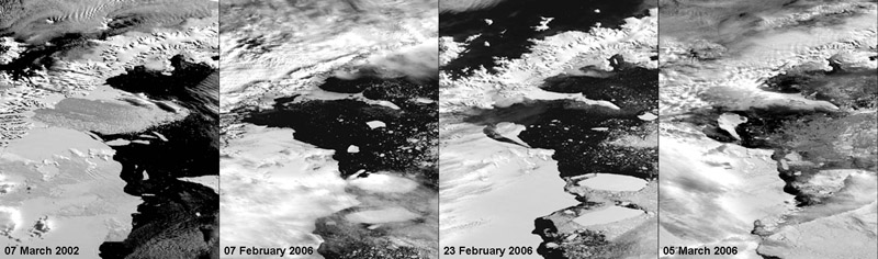 These eight MODIS images show the collapse of Larsen B in spring of 2002 and, more recently the calving of large icebergs to the north of Larsen C.  Credit: UNEP/GRID Sioux Falls, from NASA MODIS data.