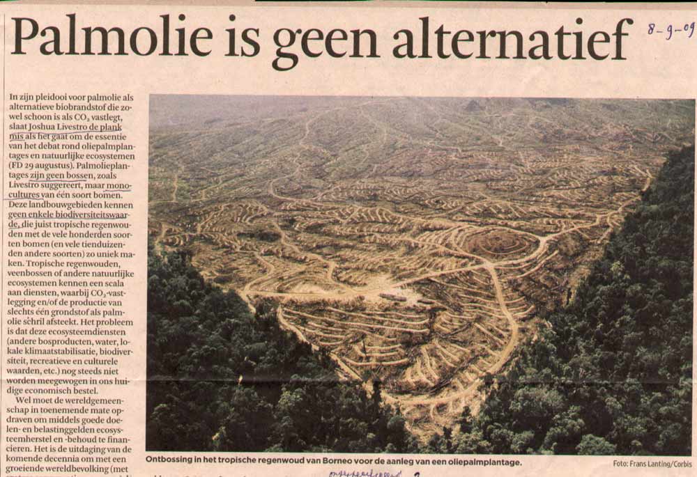 palmolie door ontbossing op Borneo