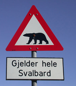 polar bear road warning sign in Spitsbergen