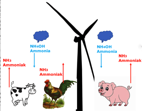 ammonia depositie door windmolens- Ap Cloosterman