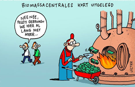 11,4 miljard NL subsidie voor hout-bijstook in kolencentrales = € 671 per inwoner van NL