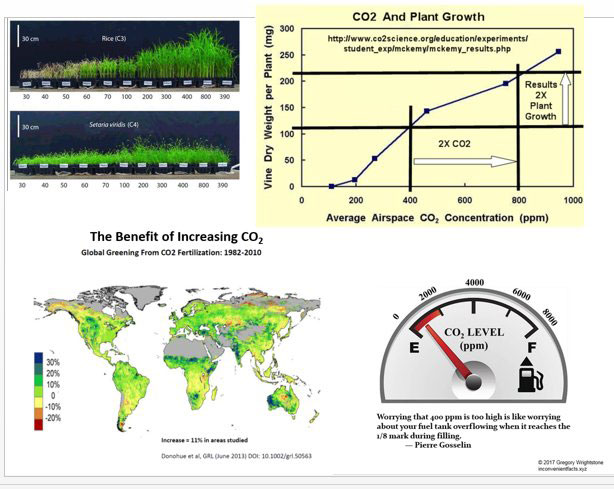 CO2-invloeden op vegetatie