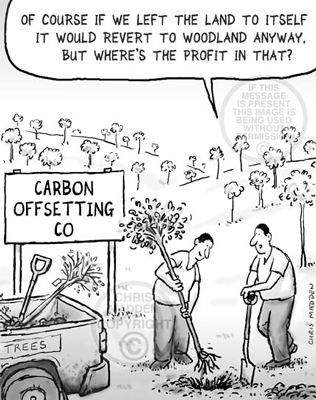carbon offsetting co.-natuurlijke bomengroei is geen goed verdienmodel