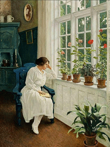 geraniums in het raam