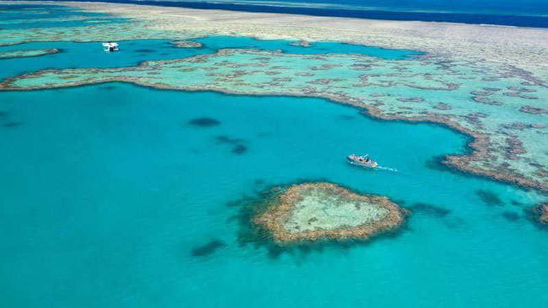 Heart Reef, Whitsunday Island, Australia