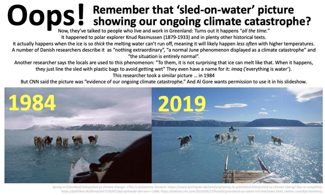 hondeslee in water op groenlands ijs