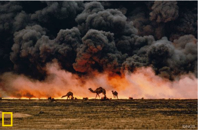 kamelen bij in brand gestoken oliebronnen in Koeweit