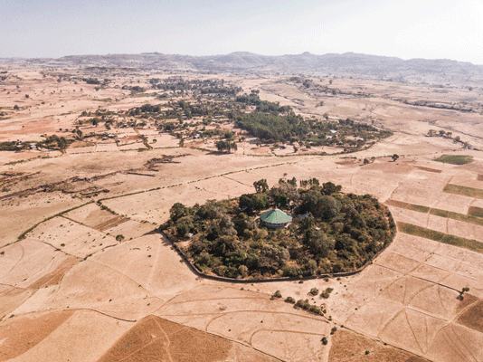 kerk-erf met bomen in Ethiopië