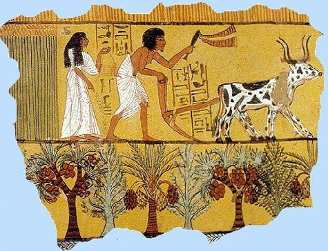 landbouw in Egypte
