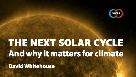 the Next solar cycle