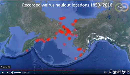 walrus kust-uitrust-locaties-sinds 1850